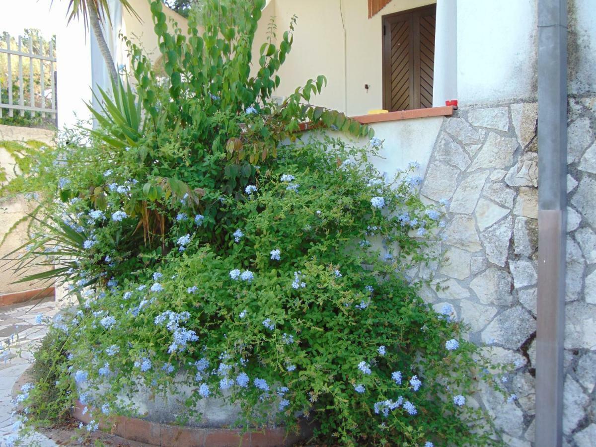 Villa Antonio Calderisi เวียสเต ภายนอก รูปภาพ